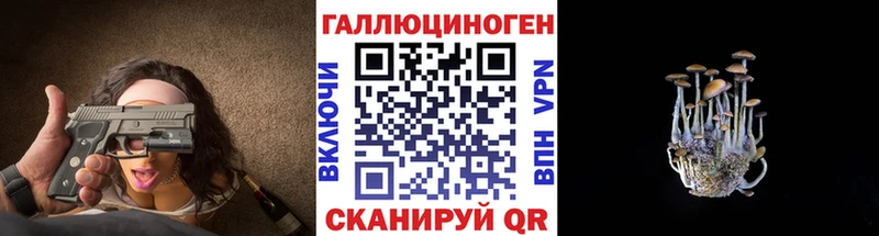 Купить где Дагестанские Огни Псилоцибиновые грибы MAGIC MUSHROOMS